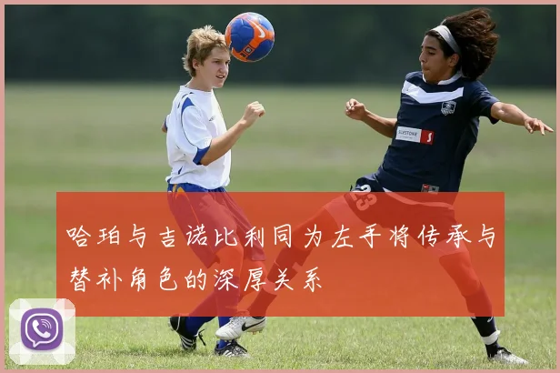 哈珀与吉诺比利同为左手将传承与替补角色的深厚关系
